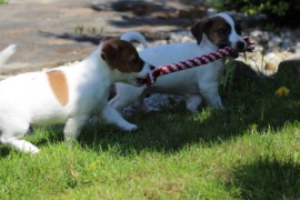 IMG 4283
